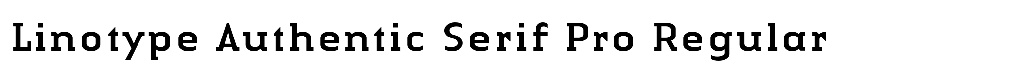 Linotype Authentic Serif Pro Regular image